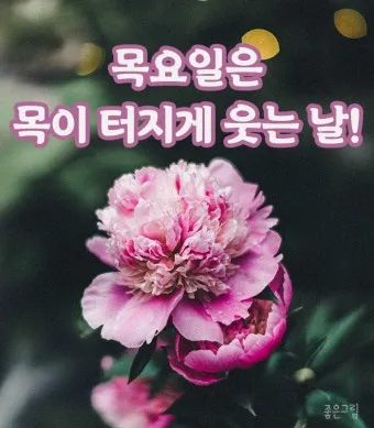 6월 인사말 모음집 이미지 문구 이미지 모음_5