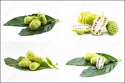 노니의 10가지 이점과 부작용 목록 43