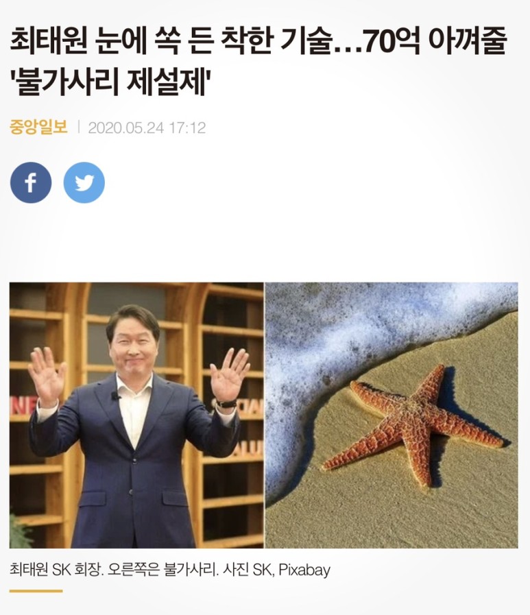 신화환경 이미지