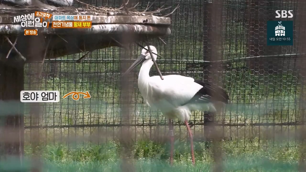 순간포착 세상에 이런일이.E1276.240505p-NEXT.mp4_20240505_151153.989.jpg