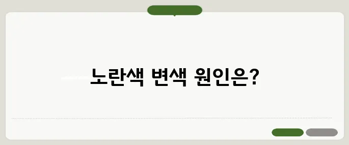 손 노란색 변색 이유와 대처 방법