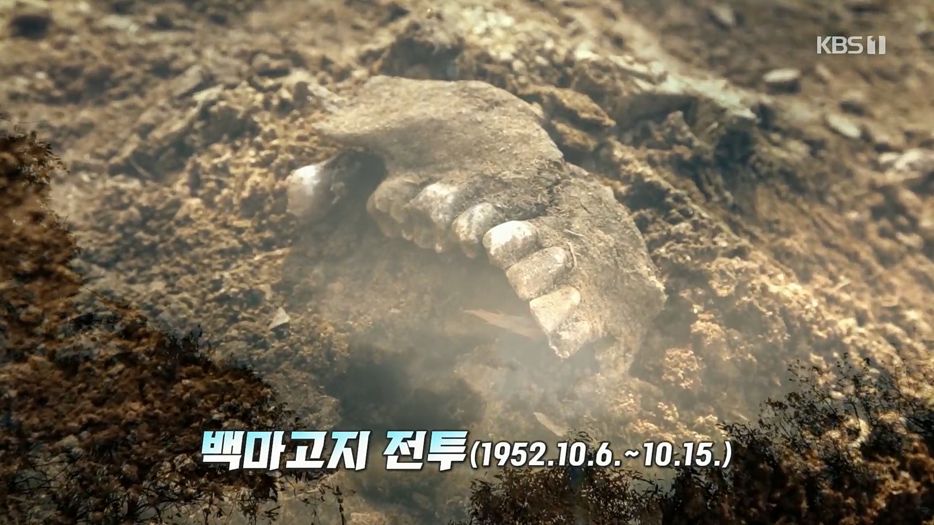 다큐 On.E163.221016p.H264-F1RST.mp4_20221018_183714.921.jpg