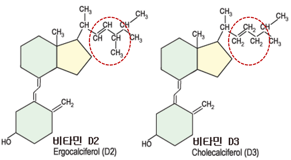 비타민D2 에르고칼시페롤&#44; 비타민D3 콜레칼시페롤의 화학구조