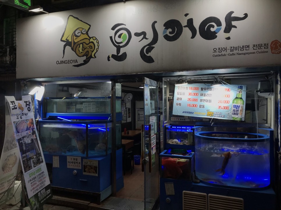  [노량진] 오징어야 : 역시 회는 노량진?! 가성비 오지는 노량진횟집