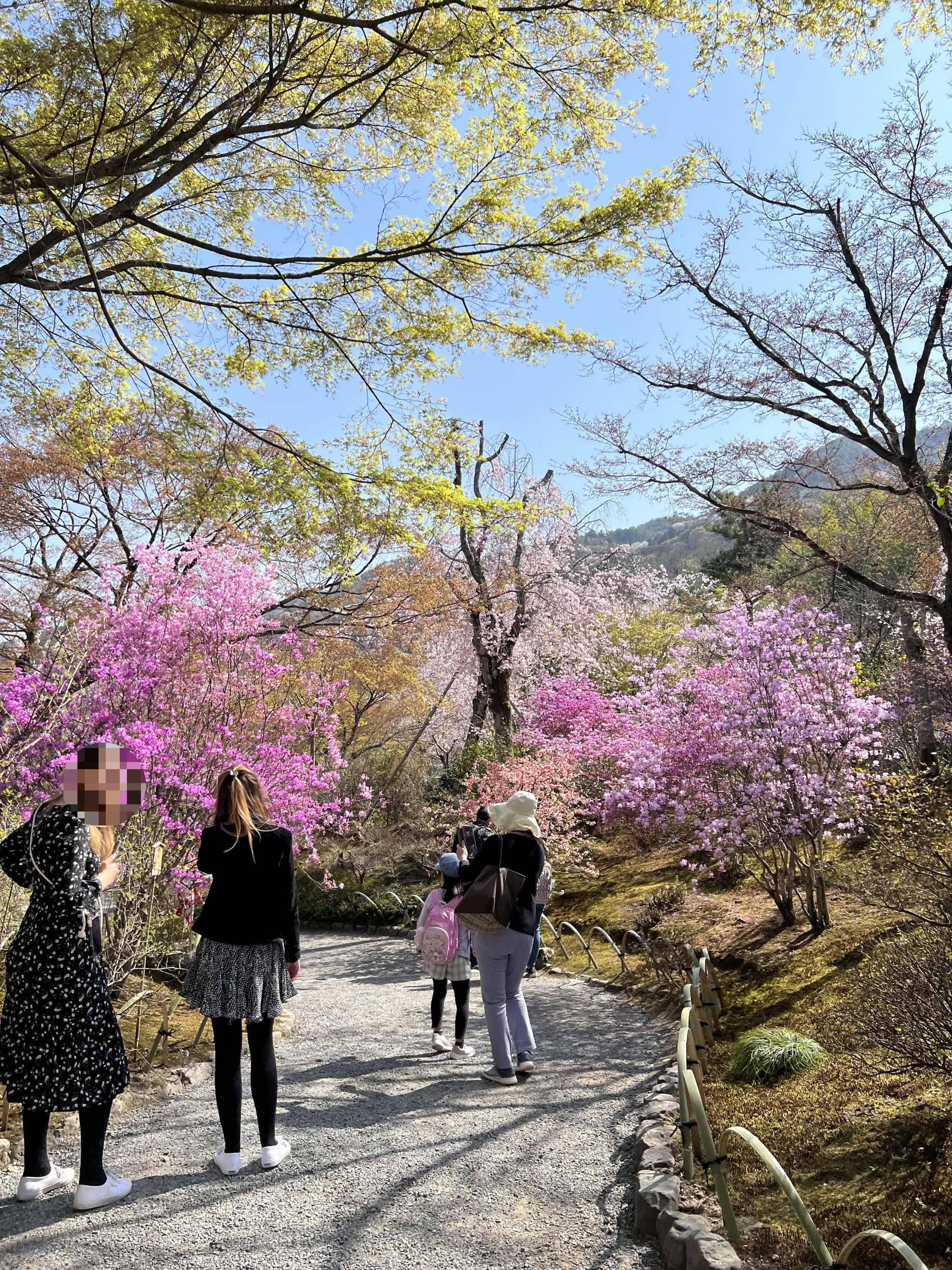 텐류지 꽃구경 아라시야마