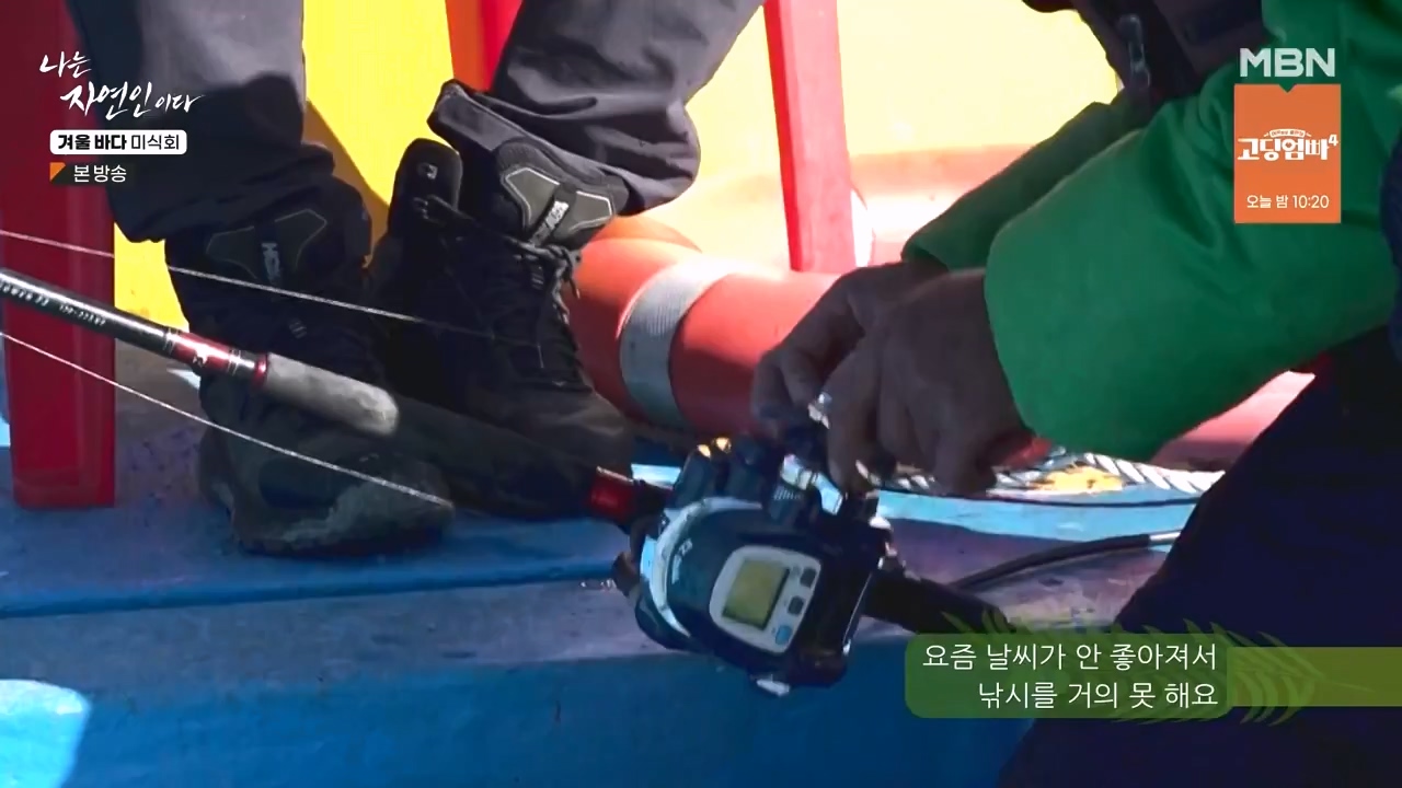 나는 자연인이다.E584.231214p-NEXT.mp4_20231214_194914.111.jpg