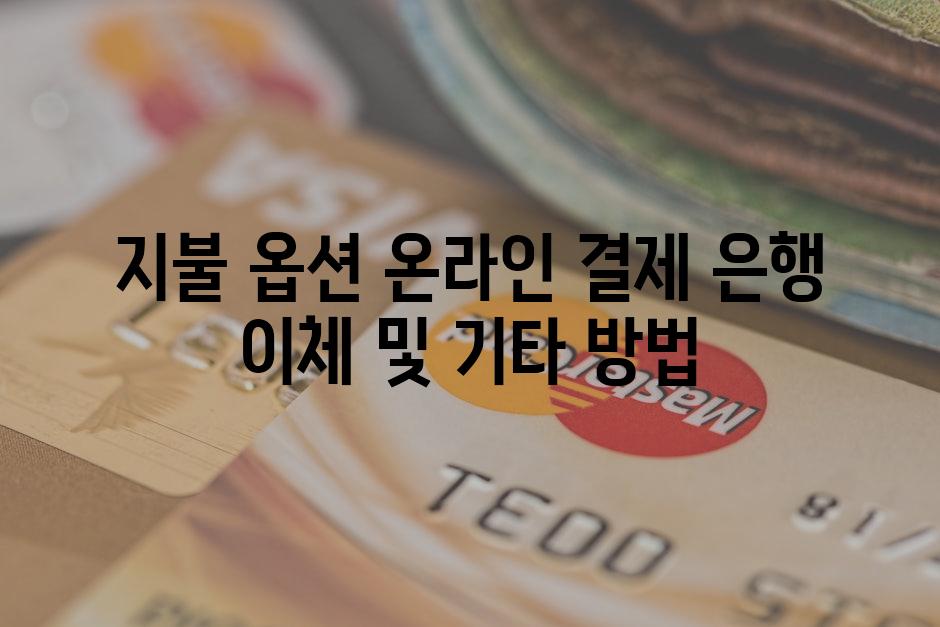 지불 옵션 온라인 결제 은행 이체 및 기타 방법