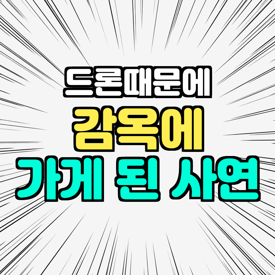  미국 캘리포니아 남성 드론 때문에 감옥에 가게 된 사연