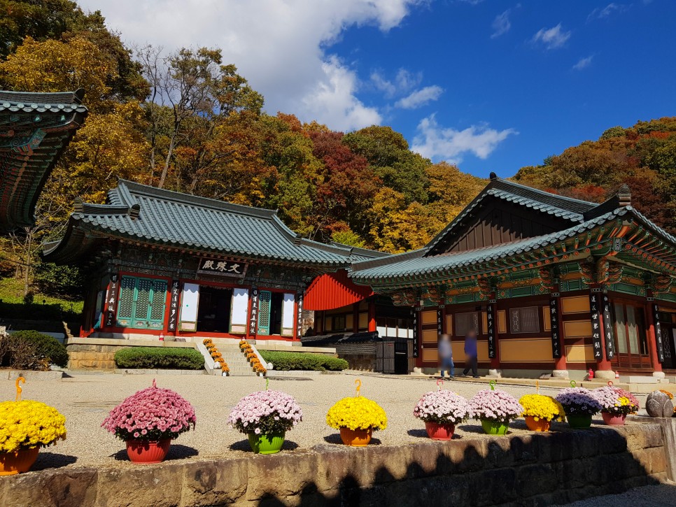 장소! 칠불사의 가을 풍경을 감상하세요:) 하동칠불사의 가을 멋진 자태를 품은 15