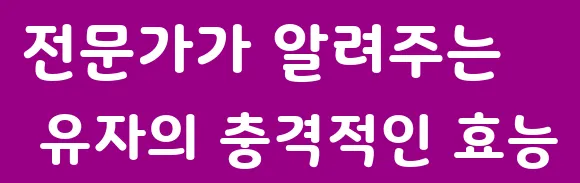 전문가가 알려주는 유자의 충격적인 효능