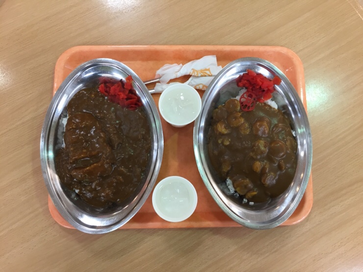 obihiro curry