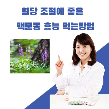 맥문동-썸네일