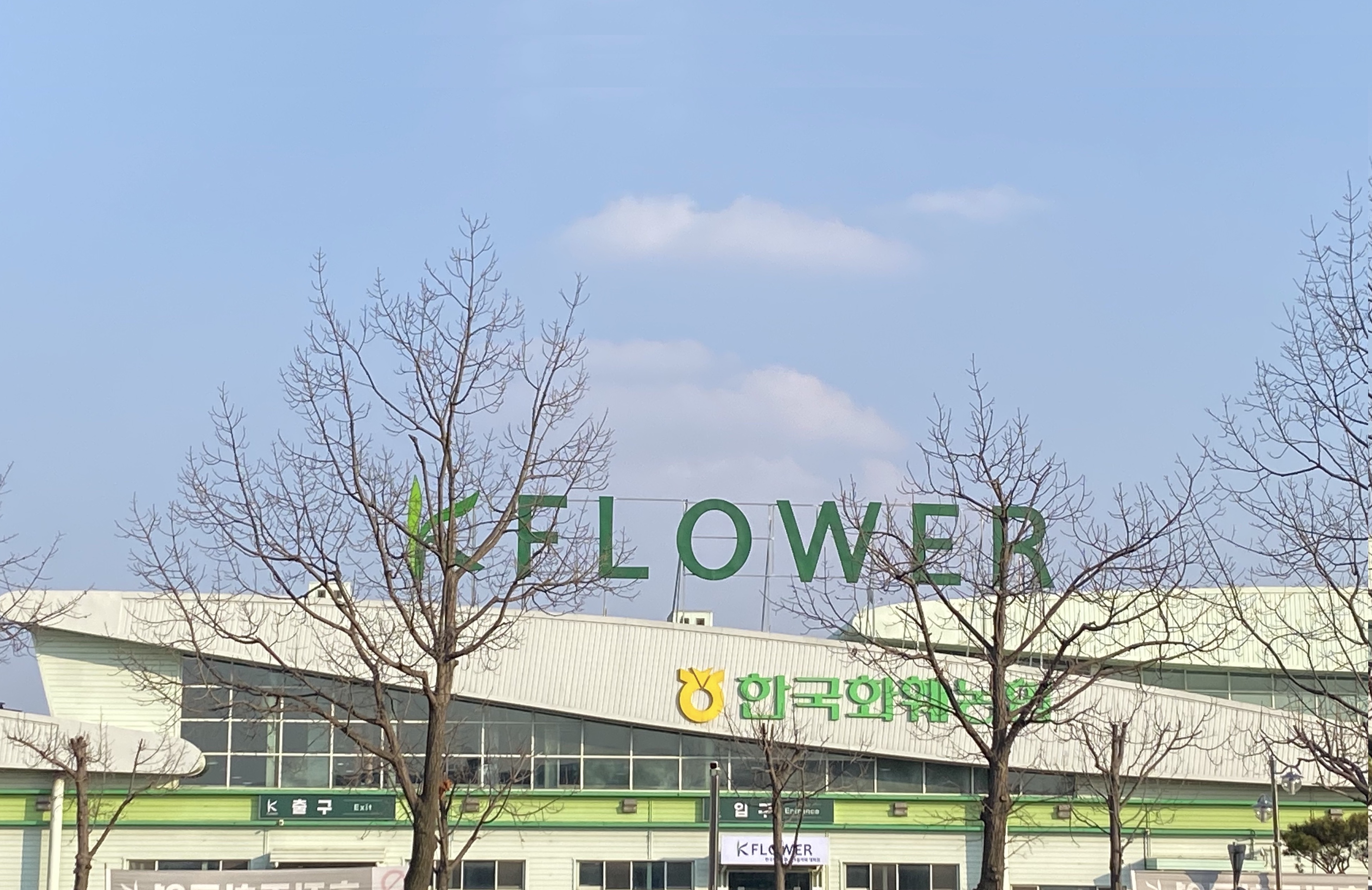 식물 싸게 사는 법 | 일산 한국화훼농협 | 서울 근교 봄 나들이