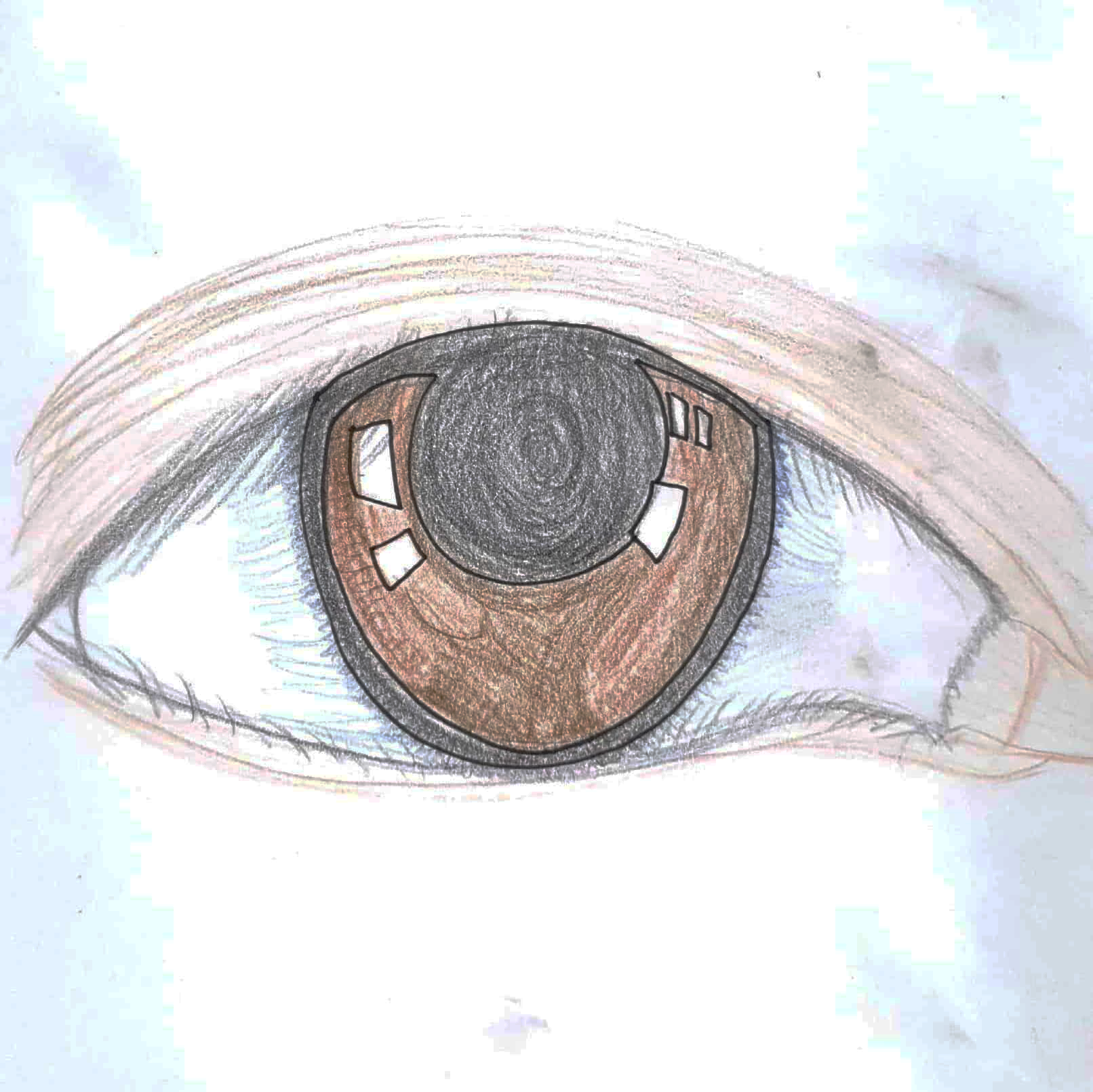  See Something 무언가를 보다 / 일러스트 그림 드로잉 / 눈 그리기