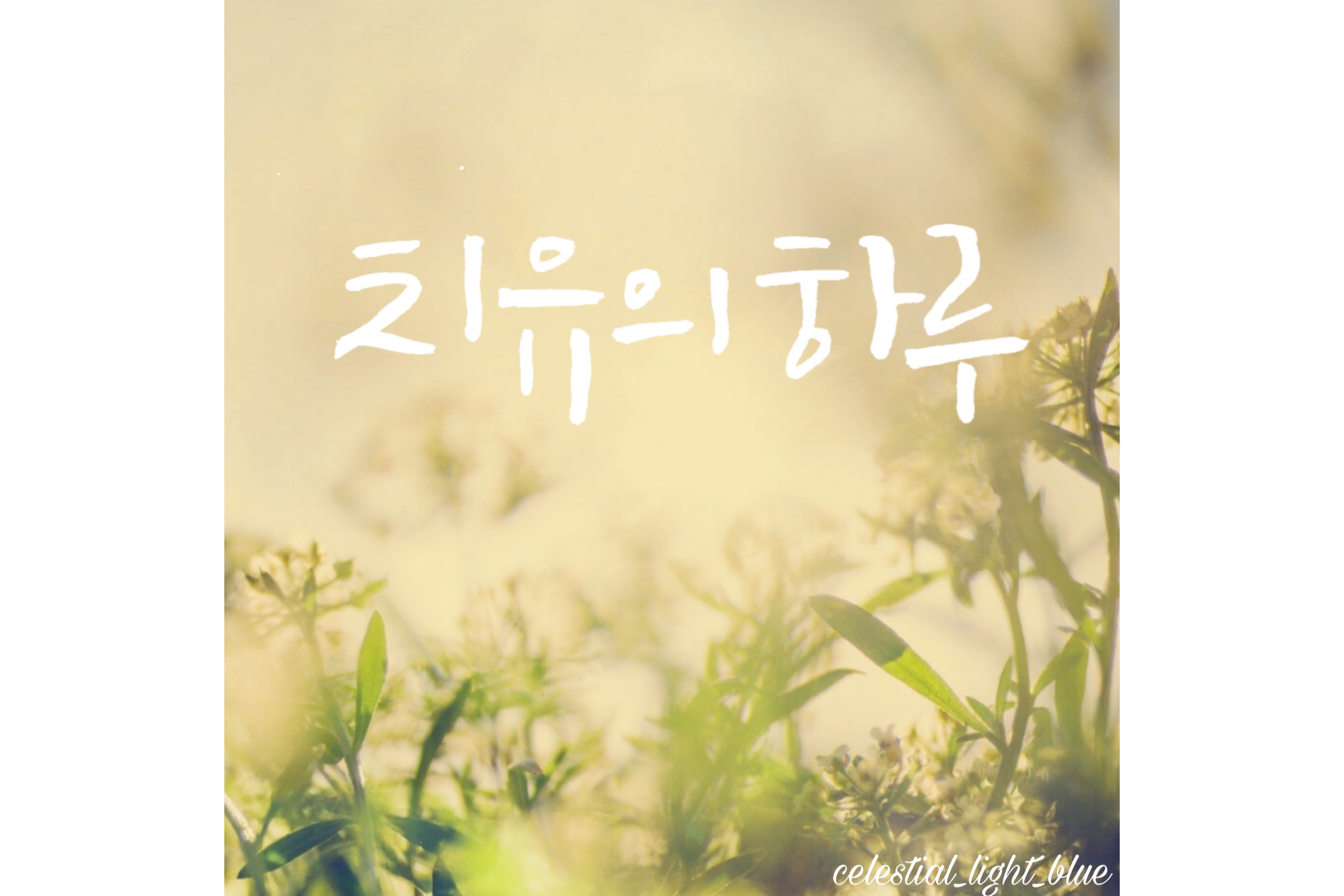  [질병으로 이직한 경우 실업급여 신청 방법]에 대한 도움글