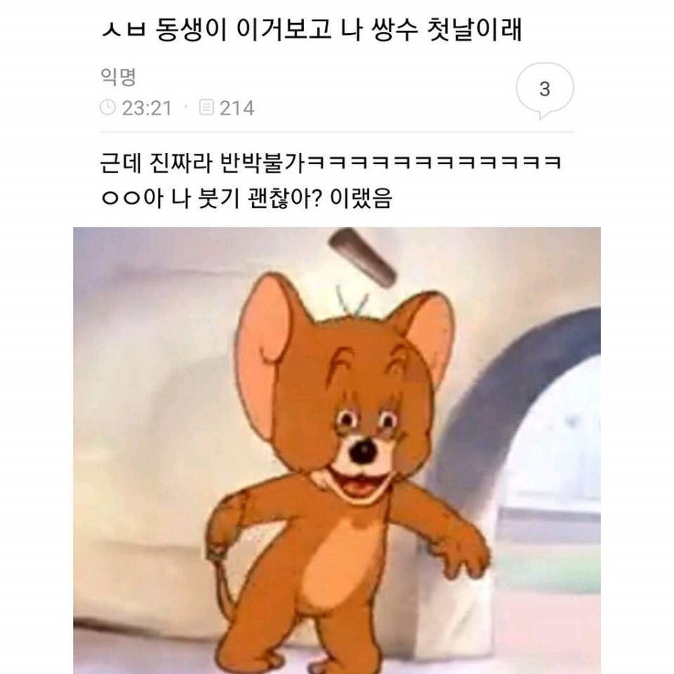  ㅅㅂ 동생이 이거보고 나 쌍수 첫날이래