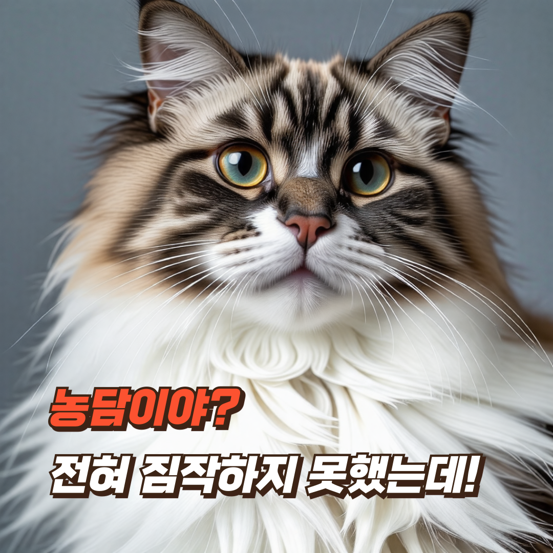 고양이-미용-방법