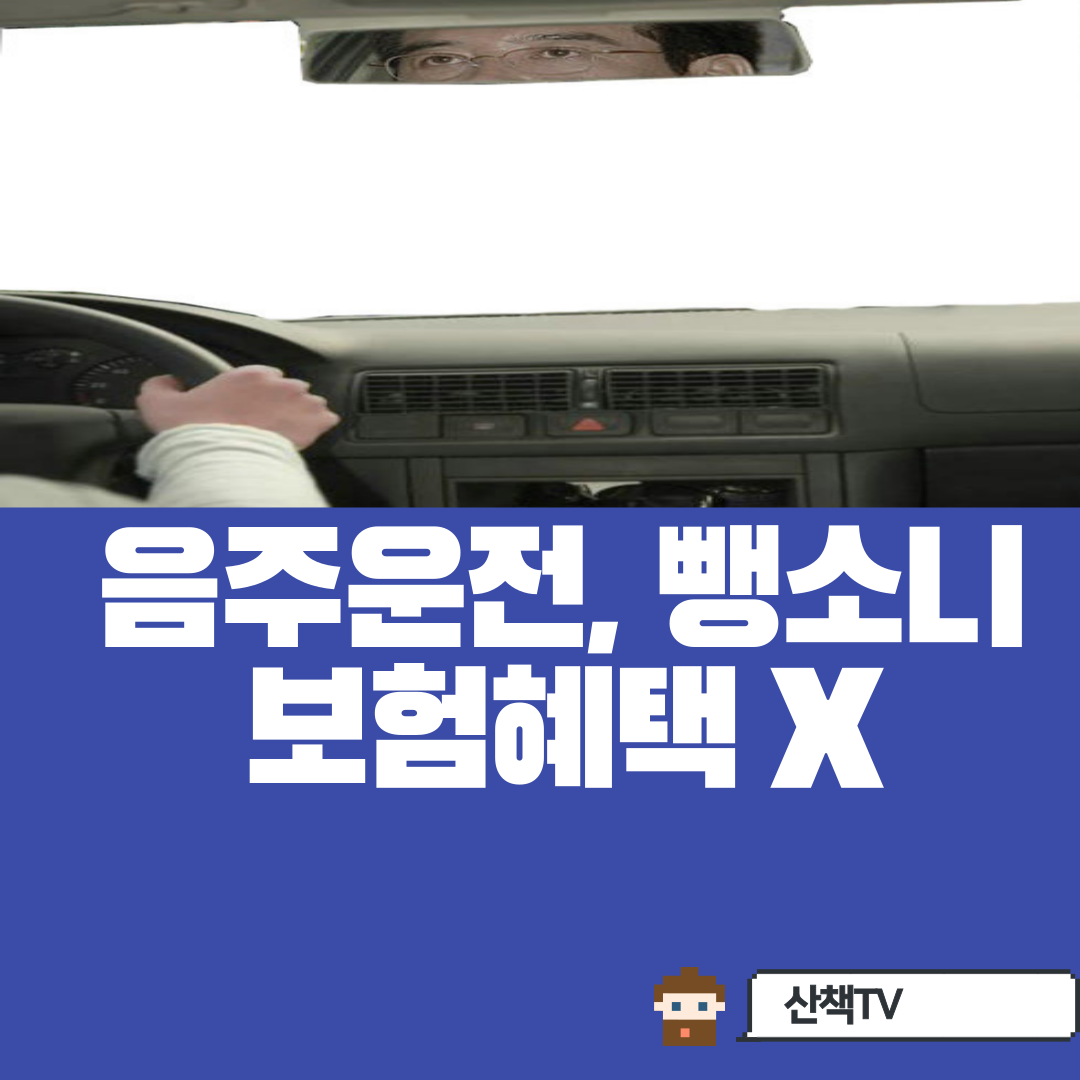  음주운전, 뺑소니 앞으로 보험혜택 못 받는다! (음주·뺑소니는 '패가망신'‥사고 부담금 철퇴)