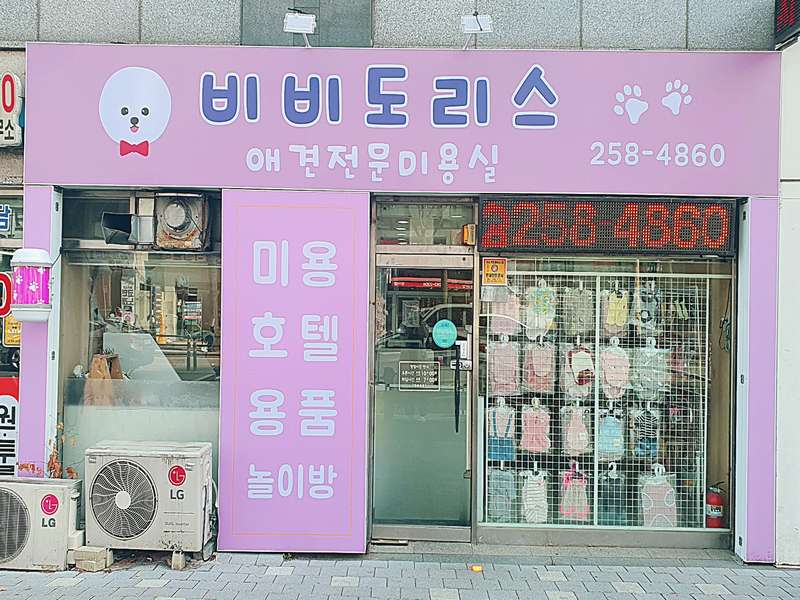 1호선 화서역 애견미용 잘하는 곳 BEST4 | 미용샵 추천 | 애견미용 혜택 | 애견 목욕 정보 | 반려동물 관리 | 총정리 - 4. 비비도리스 소개 4. 비비도리스 소개