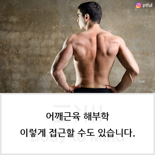  어깨근육 해부학(shoulder muscle anatomy) 이렇게 접근할 수도 있습니다.
