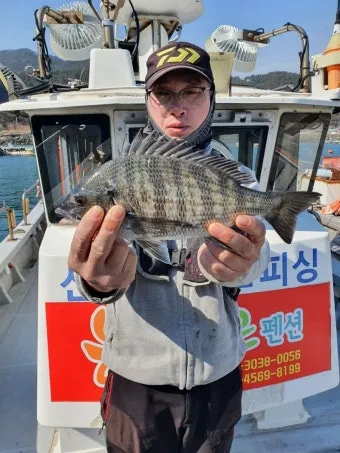 통영 감성돔낚시 후기 물때 조금_21