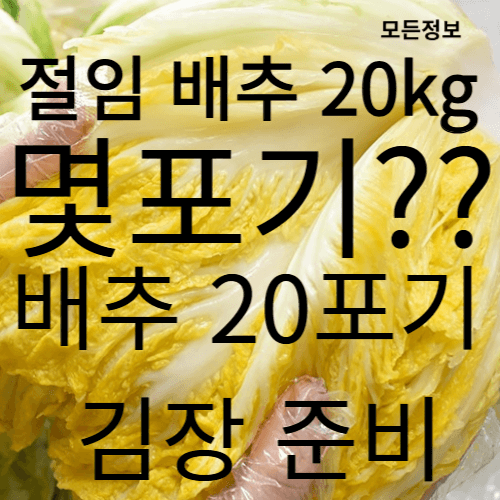 절임배추 20kg 몇 포기? 배추 20포기로 김장 준비하는 팁