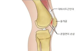 연화랑 이미지