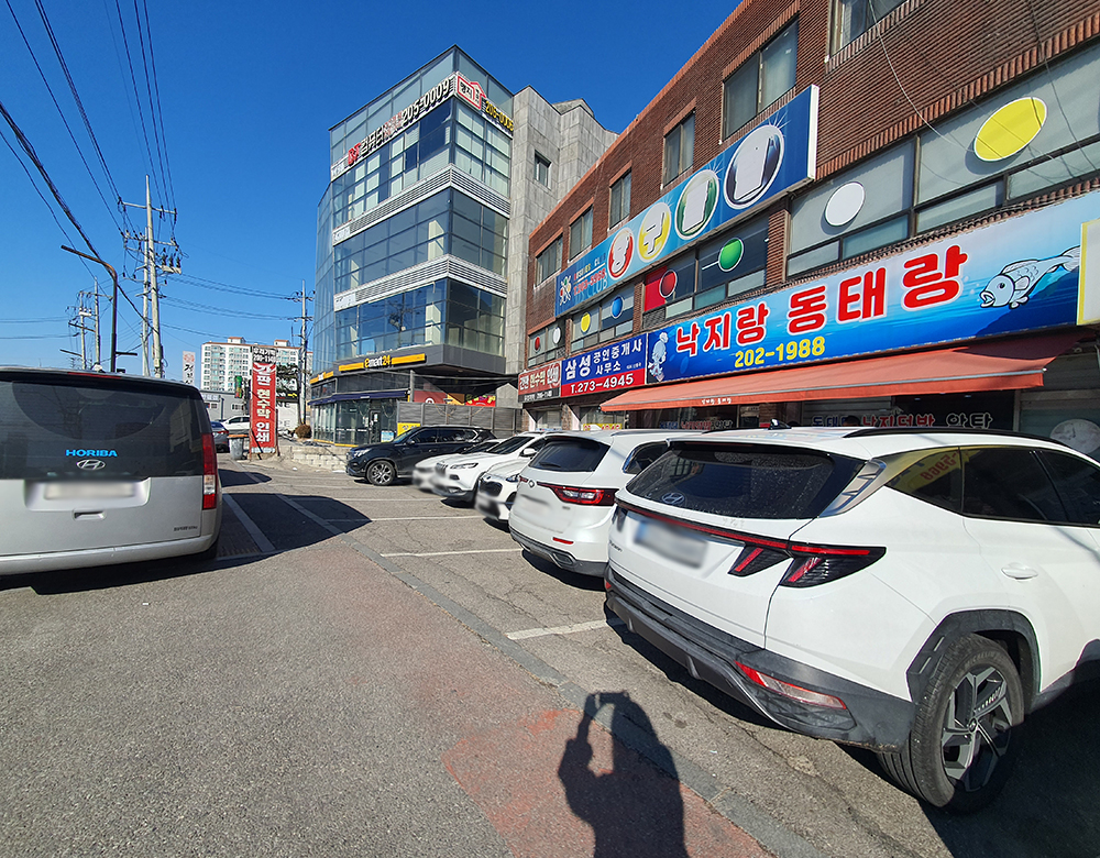낙지랑동태랑 사진 2