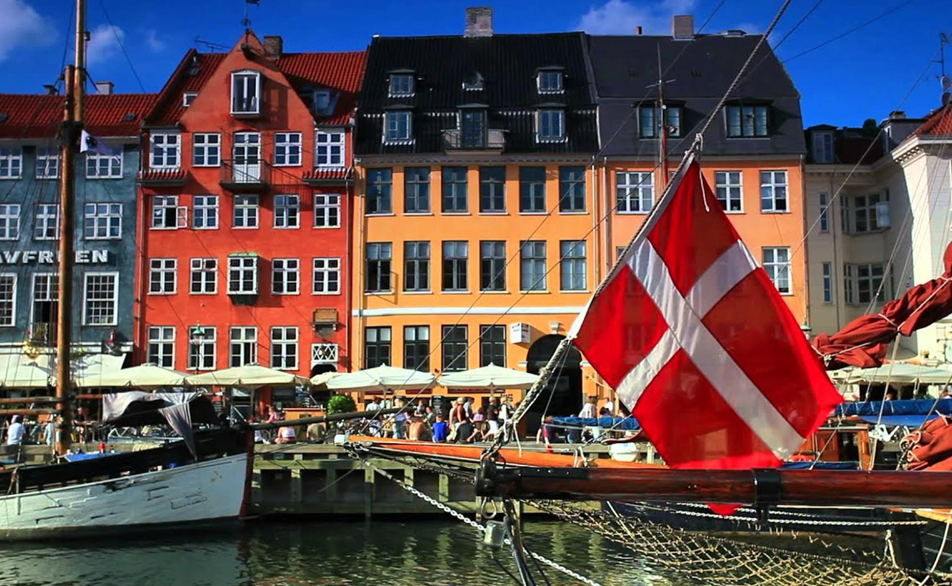 인공조림지를 가진 덴마크의 문화와 기후