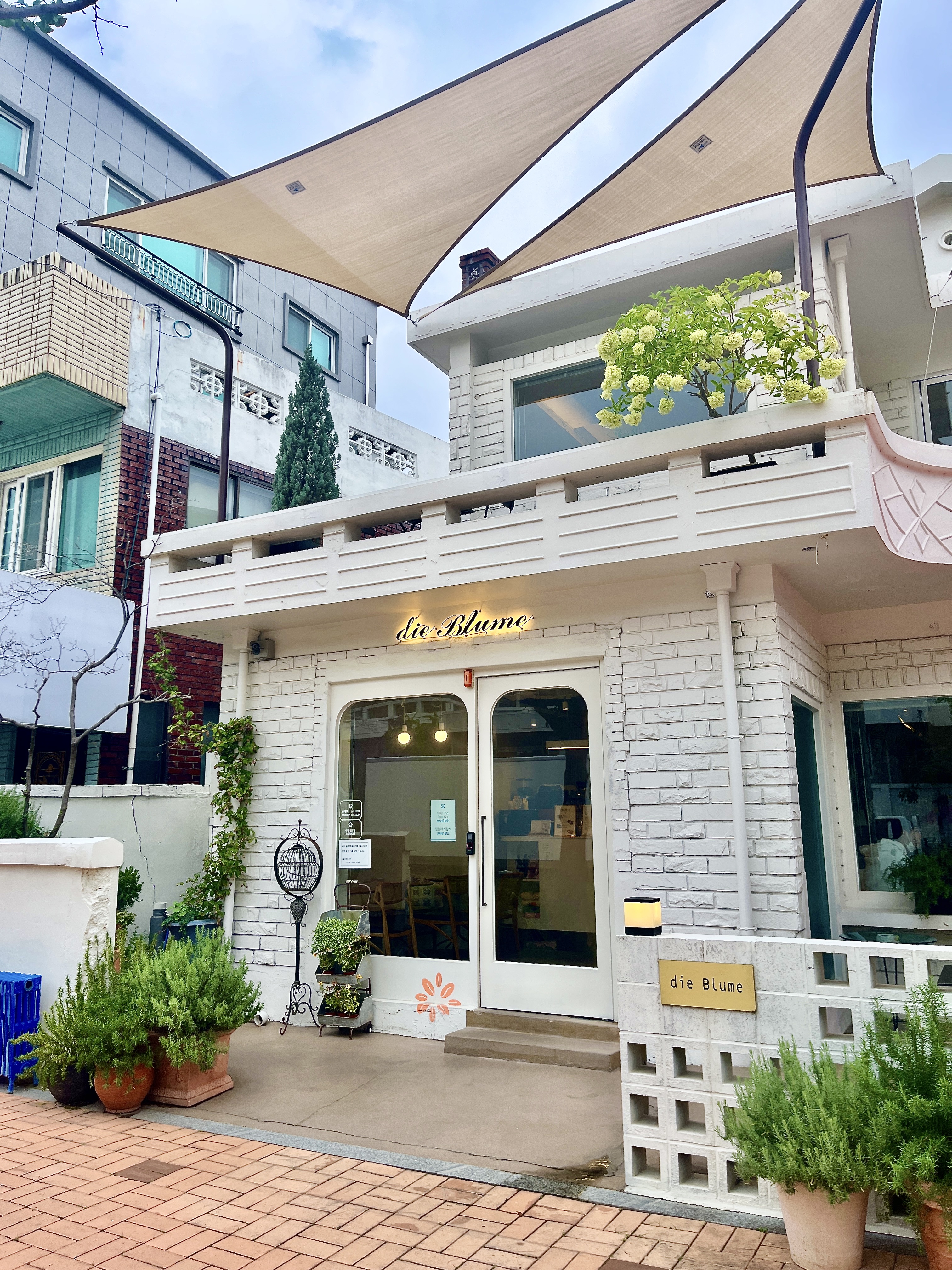  대전 선화동 카페 - 디블루메