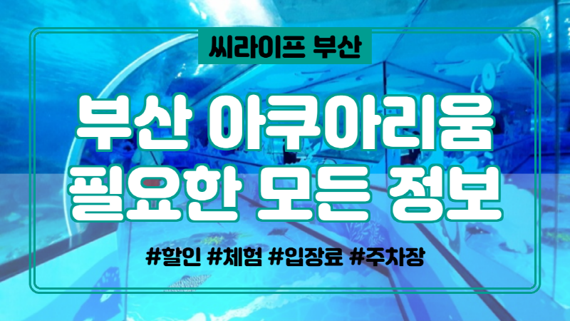 바다동물