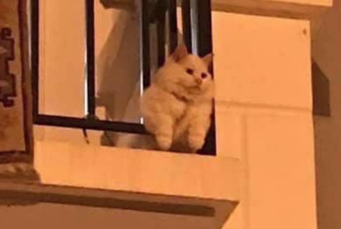 에멘탈커피 이미지