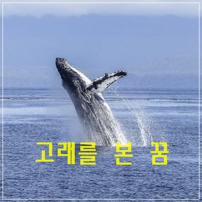 고래를 본 꿈