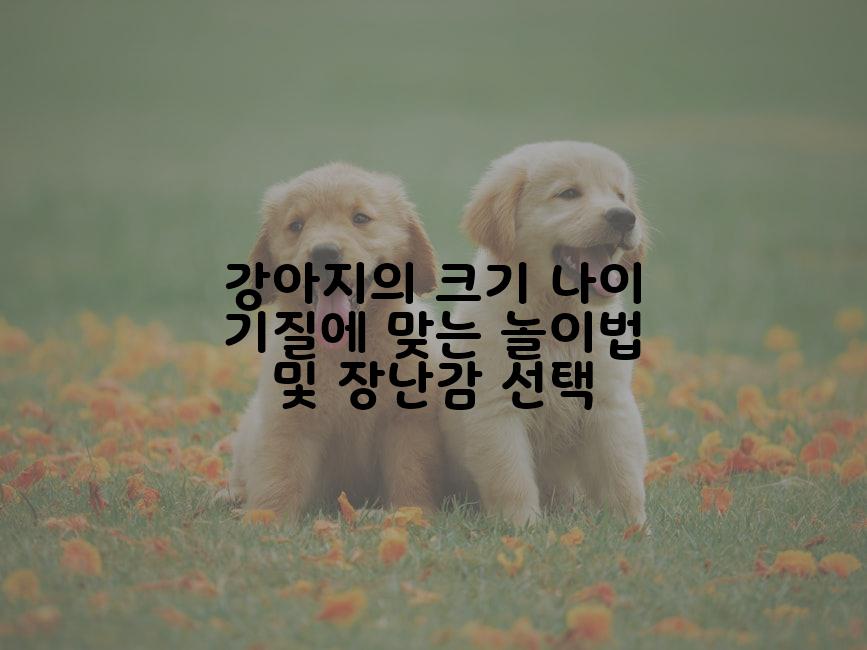 강아지의 크기 나이 기질에 맞는 놀이법 및 장난감 선택
