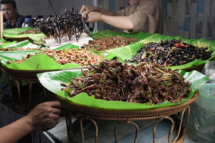 fried_insect_jodd_fair