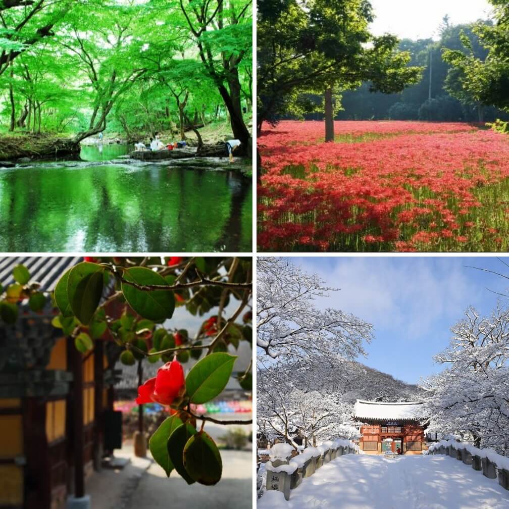 선운사의-사계절-풍경-모음-사진들