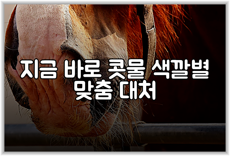지금 바로 콧물 색깔별 맞춤 대처