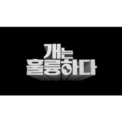  개는 훌륭하다 코비 담비 논란 이유