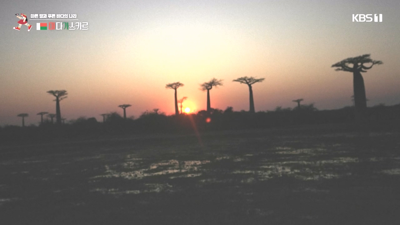 걸어서 세계속으로.E814.231022p-NEXT.mp4_20231022_165056.705.jpg