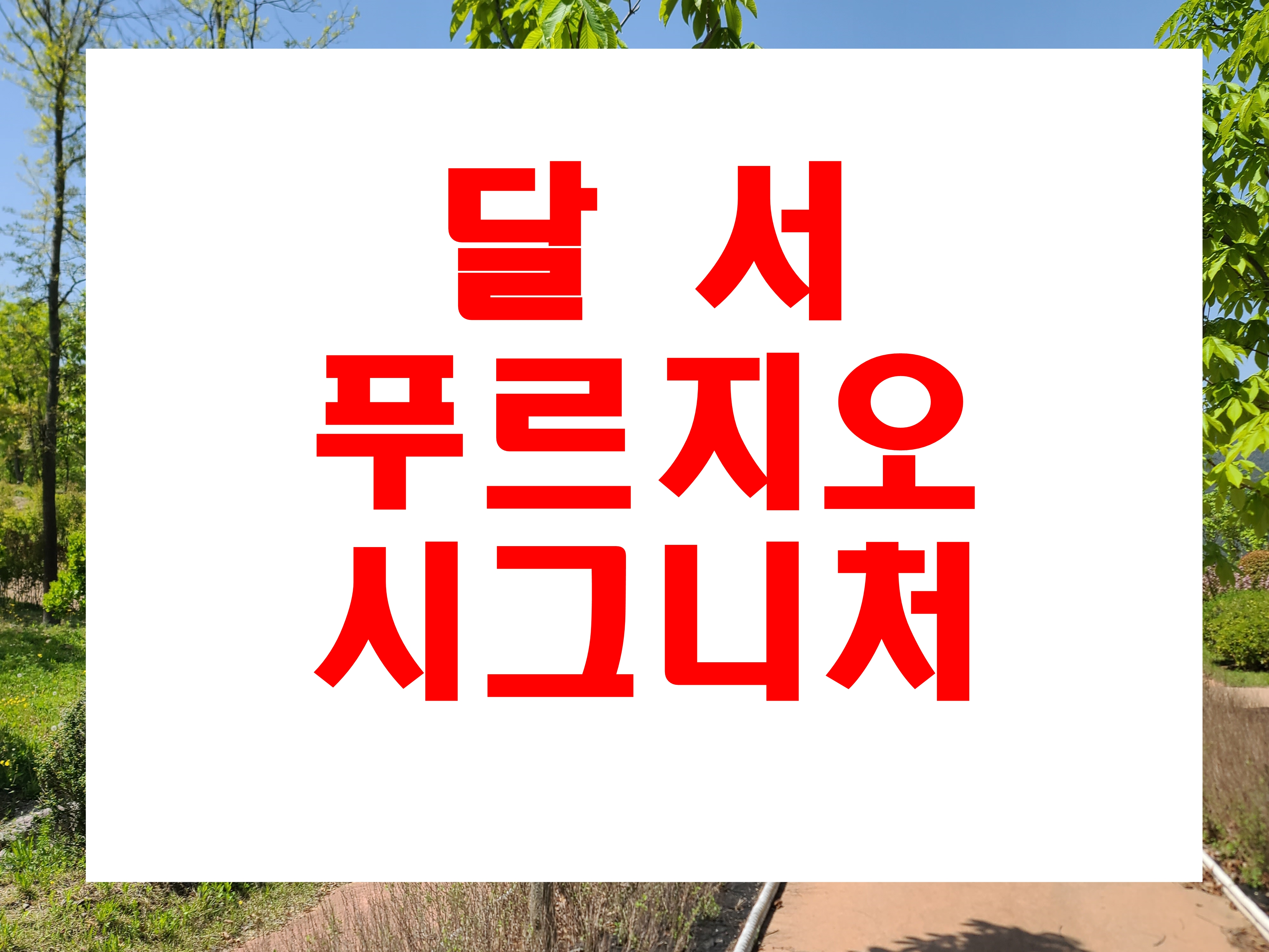  달서 푸르지오 시그니처 대구 미분양 아파트 매매 정보 1,157세대
