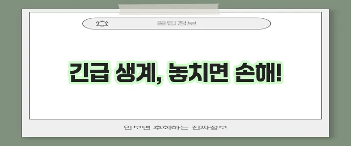 2024년 긴급복지 생계지원금 신청 방법과 지급 일정 꼭 확인하세요!