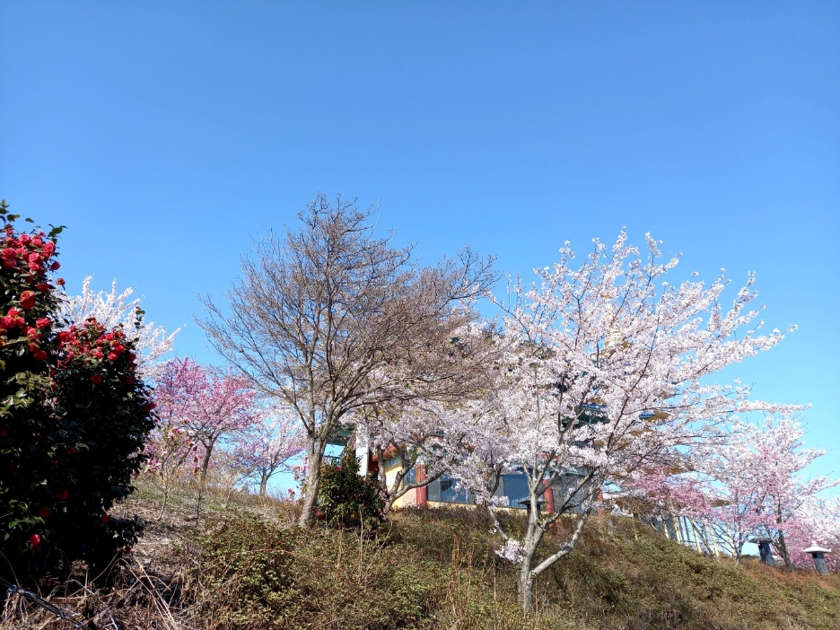 img.jpg