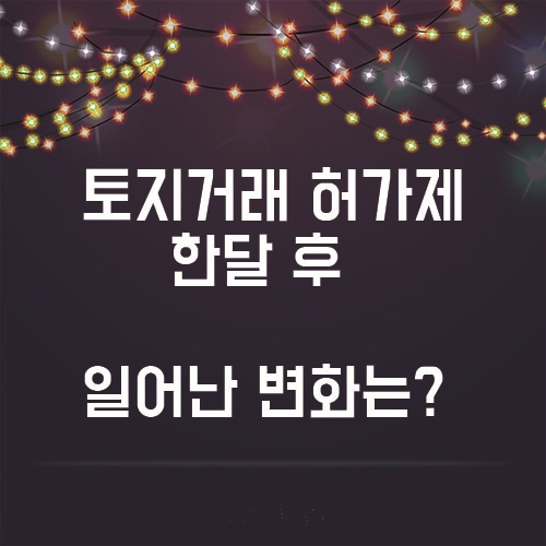  토지거래허가제도 한달 후 .. 일어난 변화는?