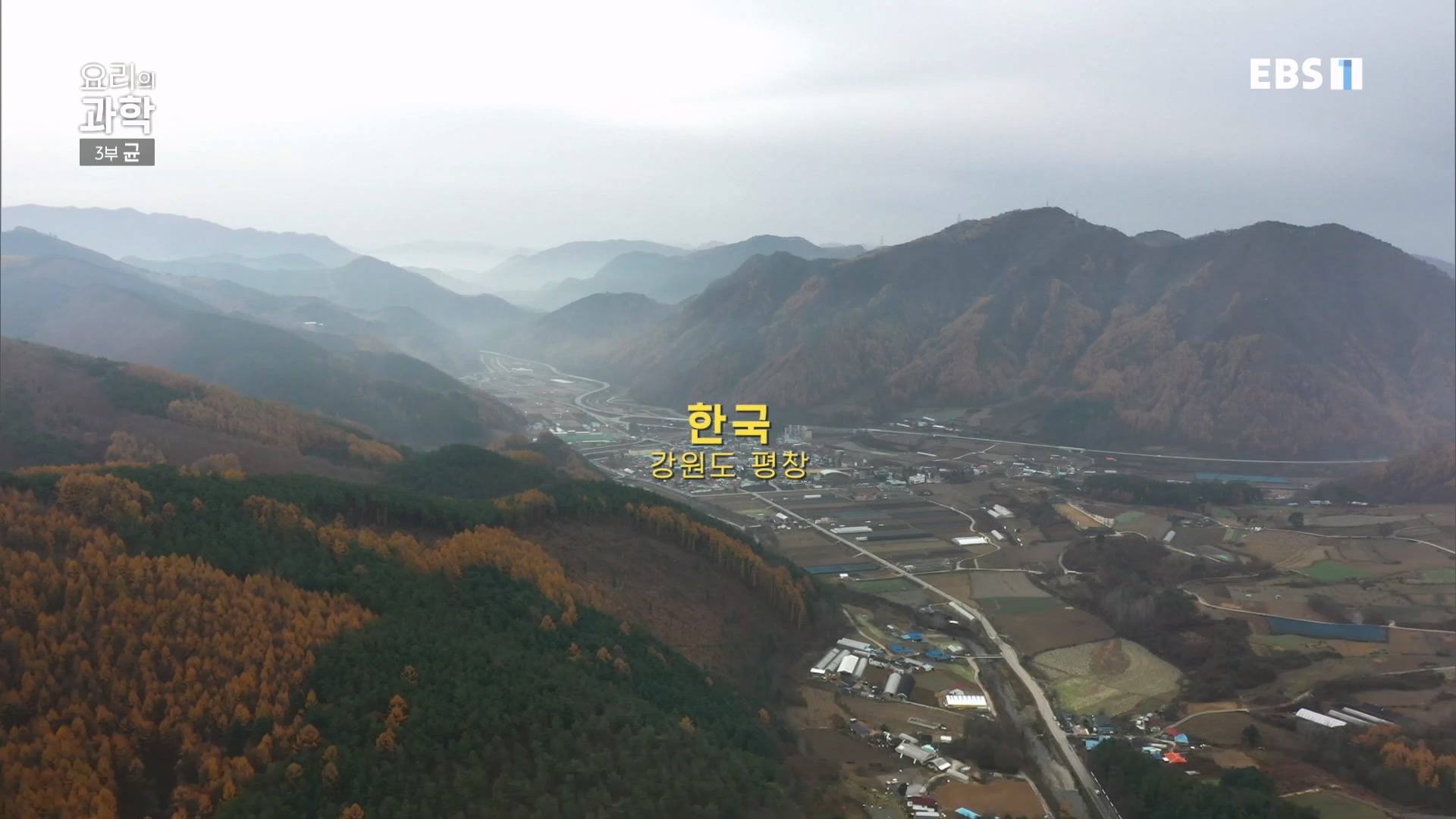 EBS 다큐프라임.201207.요리의 과학 - 3부 균0p.mp4_20240411_202634.458.jpg