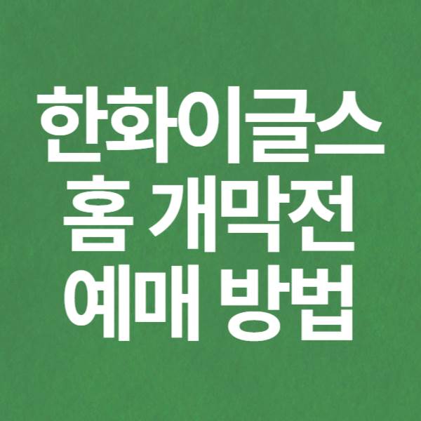 한화이글스 홈경기 개막전 경기