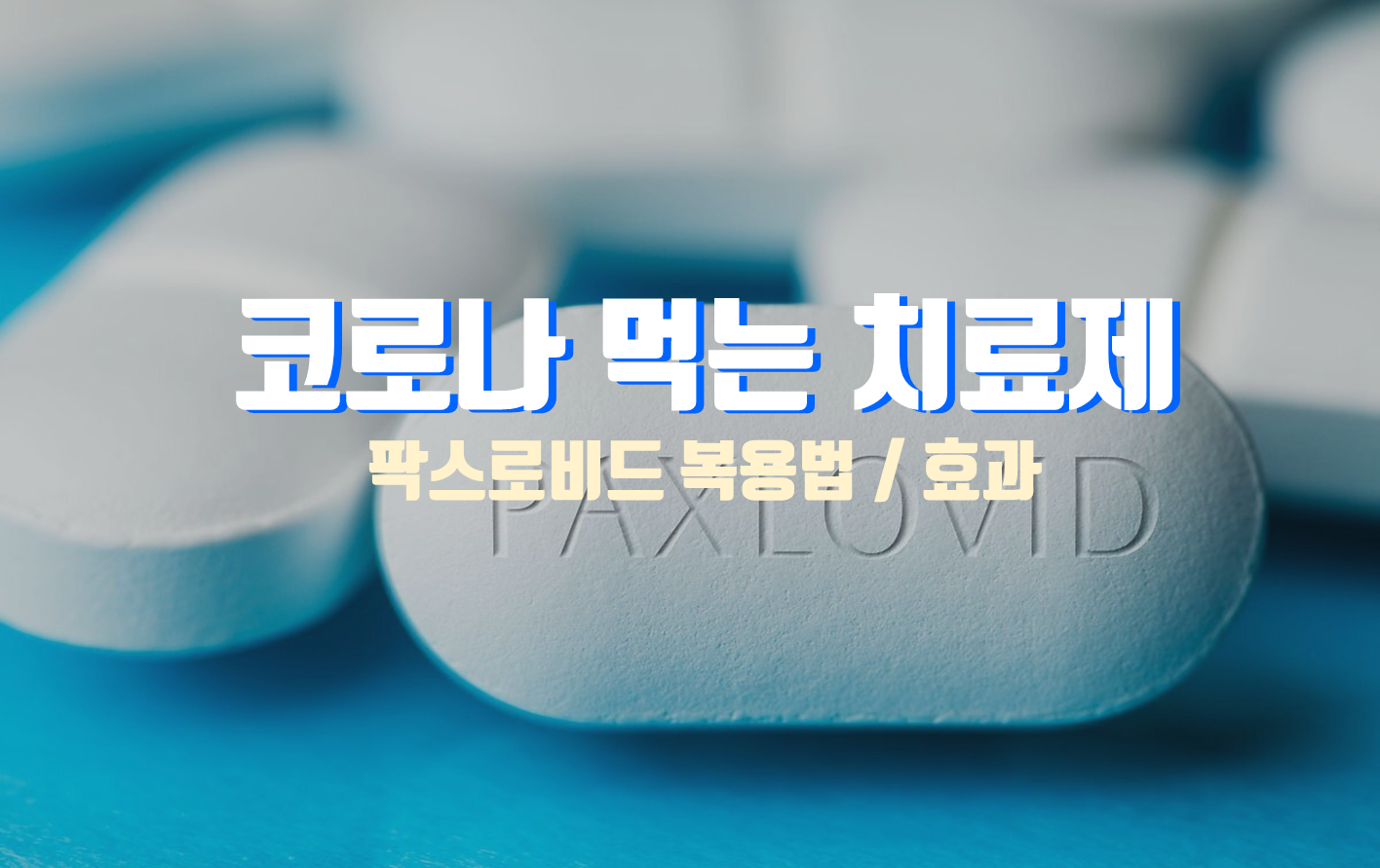  코로나19 먹는 치료제, 팍스로비드 처방 효과 복용법