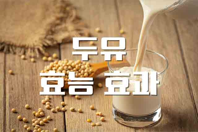  두유, 우유 대체 음료 두유의 효능
