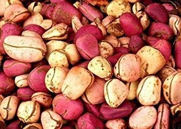  콜라너트 (COLA NUT) 효능 및 부작용, 섭취법 알고 가세요.