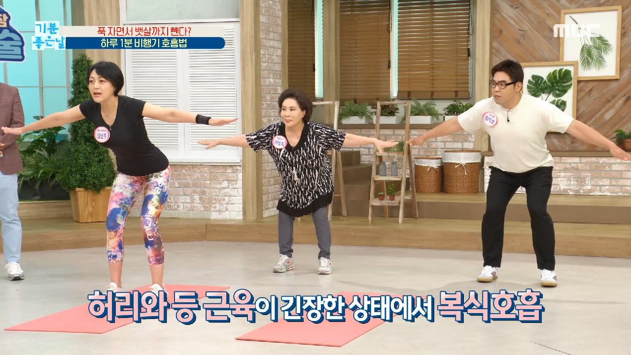  기분 좋은 날 뱃살 제거 비행기 호흡법 복식호흡 시서스 효능 효과 야식 습관 역류성 식도염 왼쪽으로 눕기 수면 무호흡증 자가진단 수면 부족 원인 증상 치료 예방 부작용 램수면 비램수면 ..
