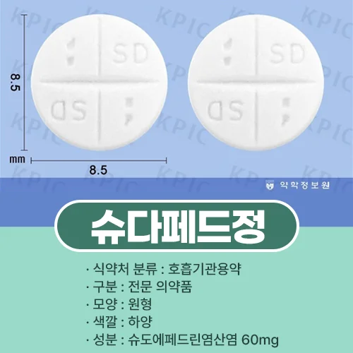 슈다페드정 항히스타민제